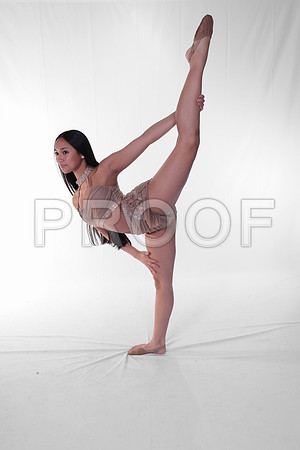 DMK_8260