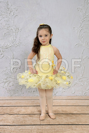 DMK_8696