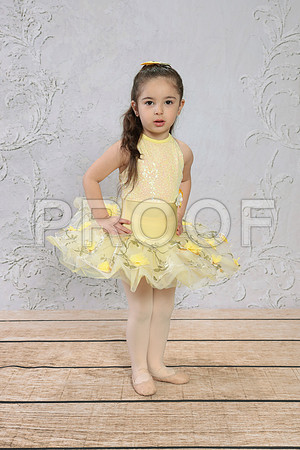 DMK_8693