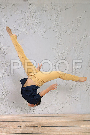 DMK_8894