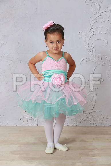 204A3791