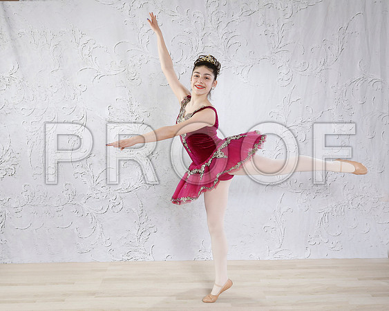 _MG_0463