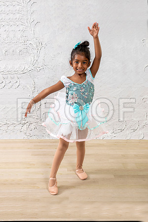 _MG_0497 copy