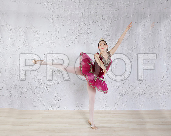 _MG_0451