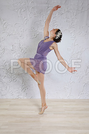 _MG_0557