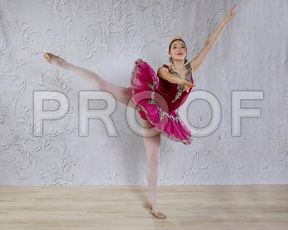 _MG_0449