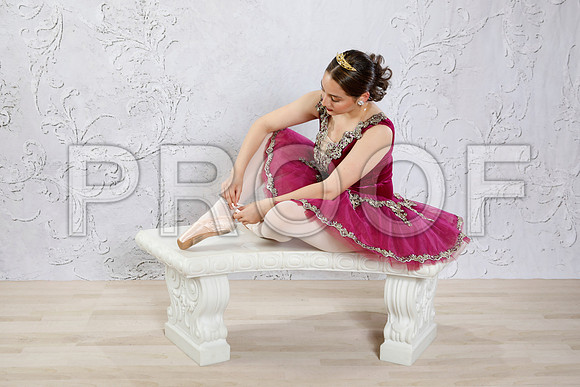 _MG_0470