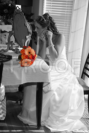 Brides House