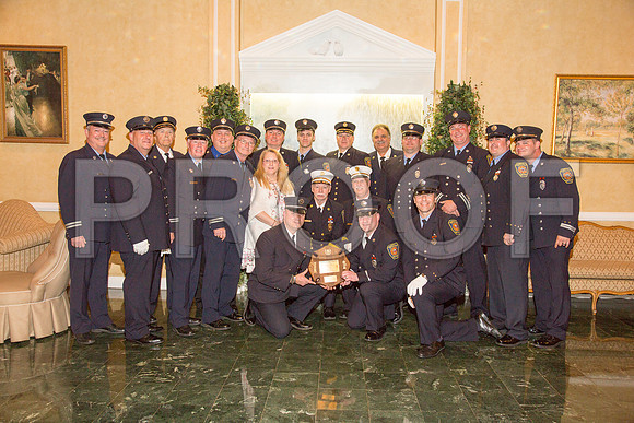 TFD15-213